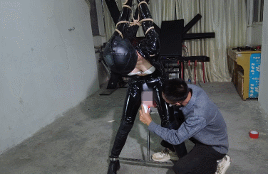 GIF.gif
