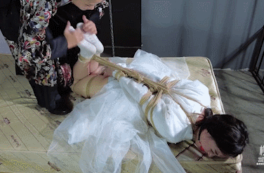GIF.gif