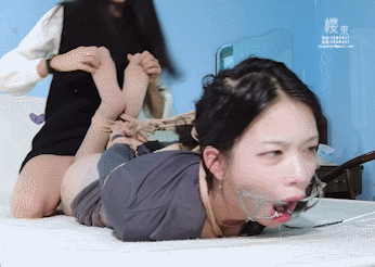 GIF.gif