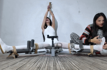 GIF.gif