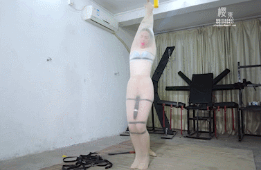 GIF.gif