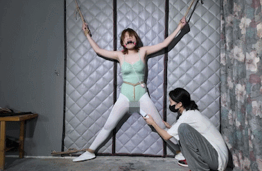 GIF.gif